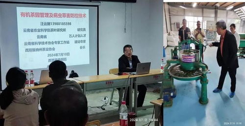 西盟县农科服务团佤乡传授茶科技，信息技术咨询服务助力乡村全面振兴