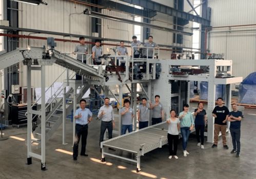 效率更高服务更方便 哈沃科技haver码垛机实现国产化